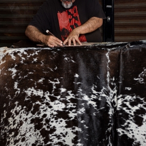  - guadalajara,zapopan